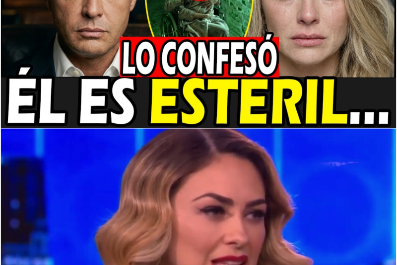 20 AÑOS DESPUES Aracely Arámbula Rompe su silencio Y REVELA LA VERDAD SOBRE EL ENGAÑO DE LUIS MIGUEL