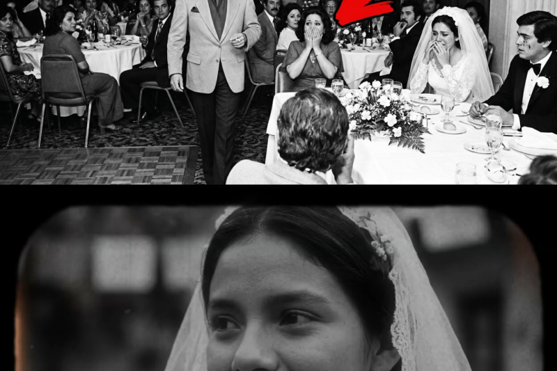 JOSE JOSE Llegó a una Boda Donde Nadie lo Esperaba — y Nadie Estaba Preparado para Esto