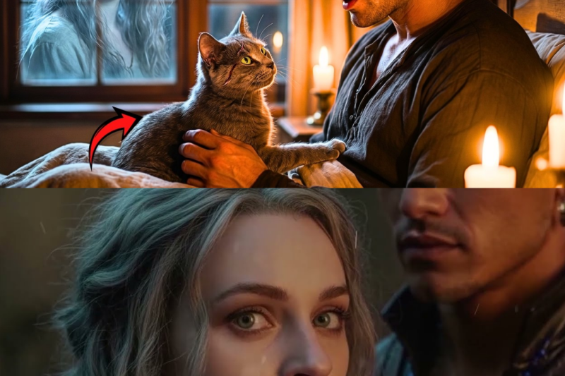 The Stray Cat I Nursed Back to Health Was Actually a Cursed Omega – She Witnessed Everything