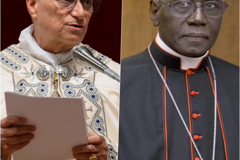¿QUÉ HIZO EL PAPA LEÓN CON EL CARDENAL SARAH?