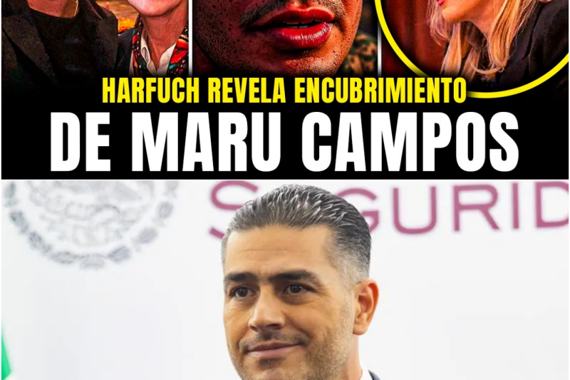 HARFUCH DETONA CITATORIO de MARU CAMPOS y REVELA POR QUÉ SHEINBAUM la ESTÁ PROTEGIENDO
