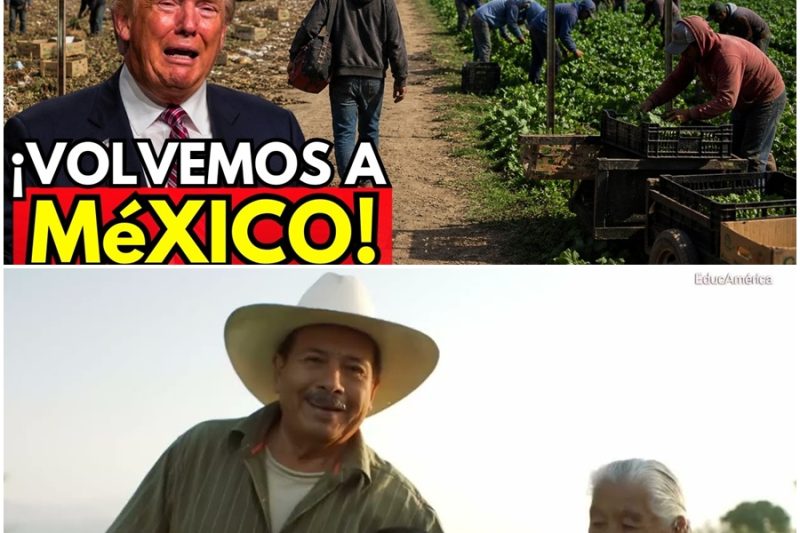 Los MEXICANOS que sostenían los campos de EEUU están REGRESANDO y esto encontraron  v