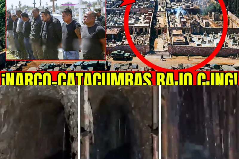 🇲🇽🚨PUEBLA EN SHOCK: MURCIÉLAGOS DESCUBREN “NARCO-CATACUMBAS” BAJO CEMENTERIO: CRIPTAS COMO BÚNKERS