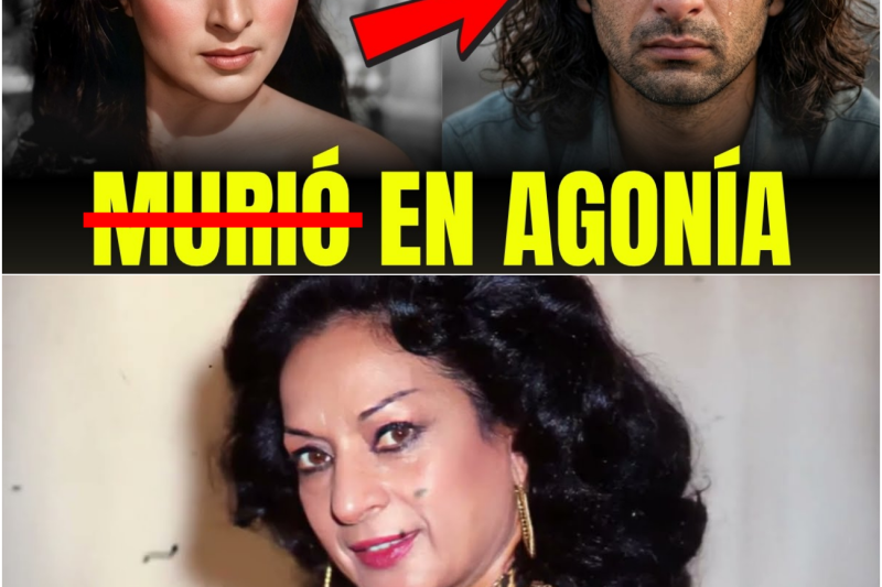 LOLA FLORES: La Maldición de SANGRE de “La Faraona”… El Cruel Destino que DESTRUYÓ a su hijo