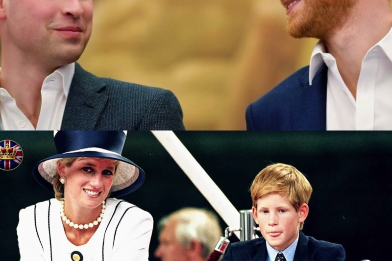 ¡EMOTIVO! William y Harry escuchan juntos la grabación de voz secreta de Diana de 1997