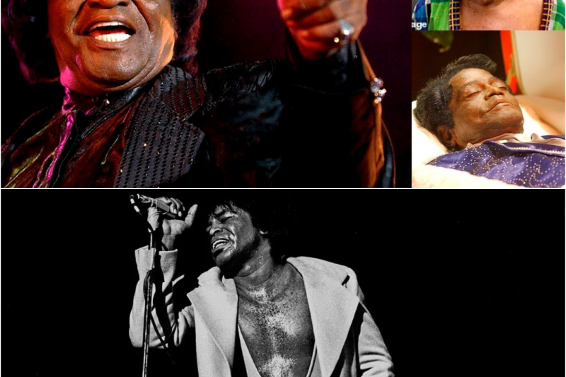 James Brown: La doble vida del Padrino del Funk y el macabro secreto detrás de su muerte