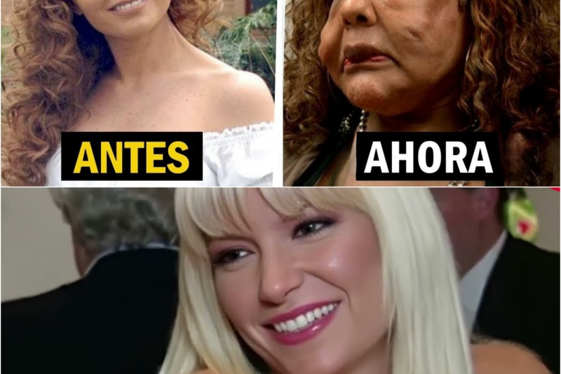 Destilando Amor, 19 Años Después: El Impactante Cambio y el Legado de un Elenco que Marcó la Televisión Mexicana