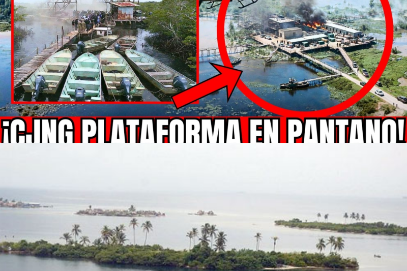 🇲🇽🚨¡MURCIÉLAGOS DESCUBREN “NARCO-ISLA ARTIFICIAL” EN TABASCO! CJNG PLATAFORMA EN PANTANO 85 SICARIOS