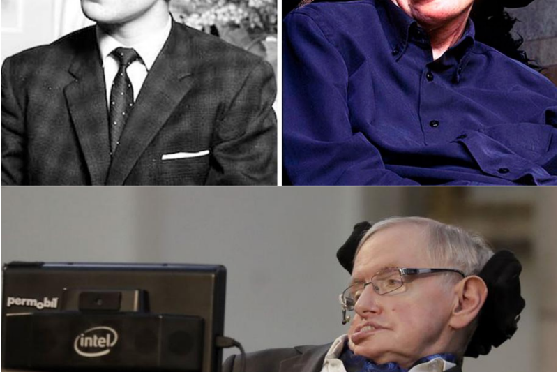 El Día que el Tiempo se Detuvo: La Trágica Lucha, el Genio Indomable y las Aterradoras Profecías de Stephen Hawking