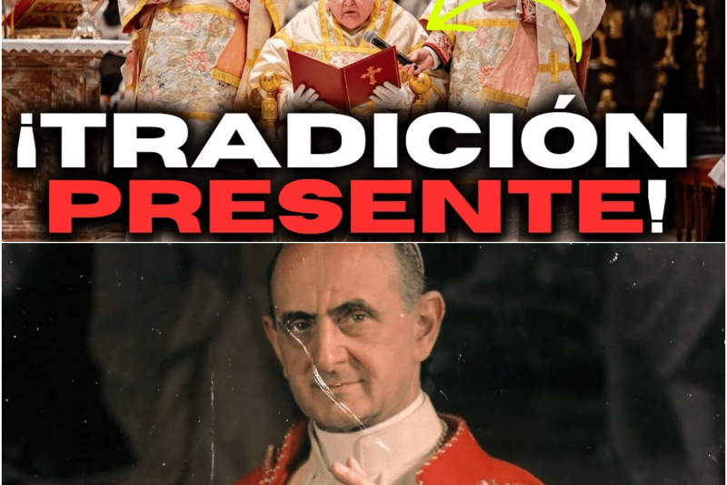 La gran encrucijada de la fe: Cardenal Burke y una multitudinaria movilización frente a los procesos canónicos del Vaticano