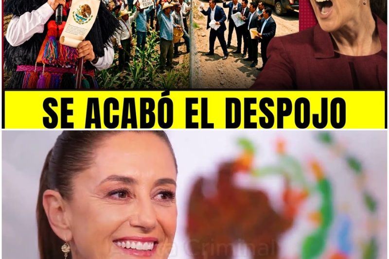 ¡NO LO VIERON VENIR! La SCJN FRENA el despojo de tierras y sacude al PRIAN d