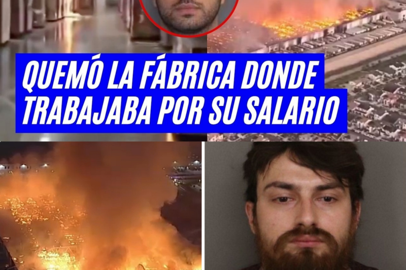 La furia tras el salario: el estremecedor caso del empleado que redujo a cenizas una megabodega