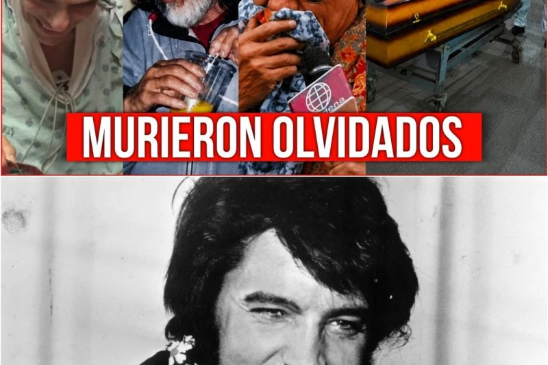 MIRA LO QUE TE ESCONDIERON SOBRE 11 CANTANTES DE LOS AÑOS 70 QUE MURIERON COMPLETAMENTE OLVIDADOS