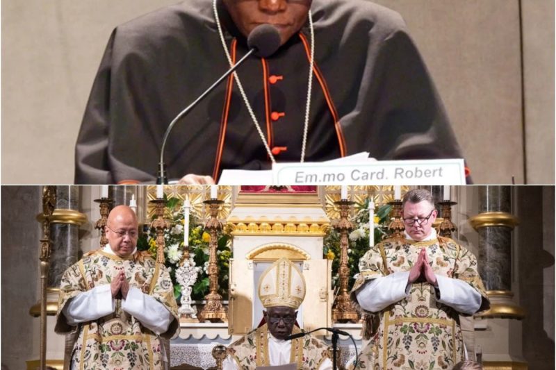 ¡El CARDENAL SARAH lanza un LLAMADO a los FIELES — mientras SACERDOTES tradicionales son apartados!