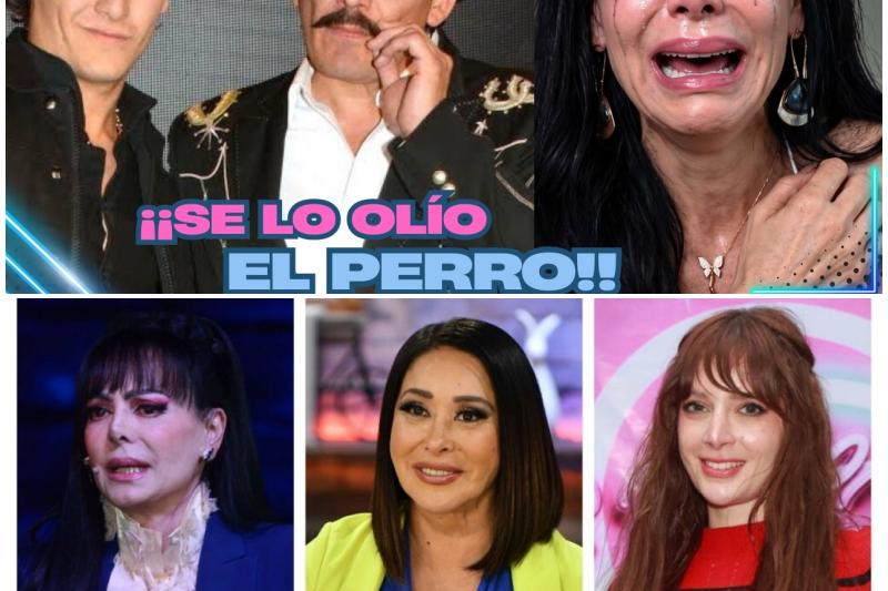 Juez Arrebata a Juliancito de Maribel Guardia: Traiciones Familiares, Custodia y la Guerra sin Fin por la Herencia de Joan Sebastian
