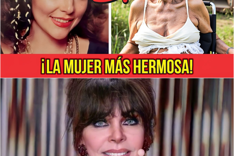 El Vuelo de las Divas: La Impactante Transformación de las Reinas del Cine Mexicano de los 70 hasta 2026