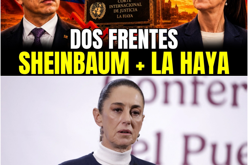 El Colapso de una Nación: Cómo la Soberbia Presidencial Hundió a Ecuador en el Aislamiento Total