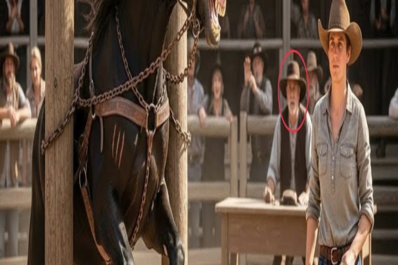 Un Caballo Indomable Fue Vendido En Una Subasta… Lo Que Hizo La Chica Sorprendió A Todos