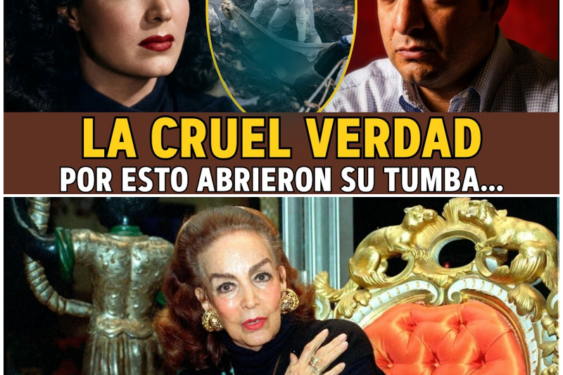 La Tumba Profanada de María Félix: El Escandaloso Testamento al Chofer, la Maldición Familiar y la Autopsia que Destruyó un Mito
