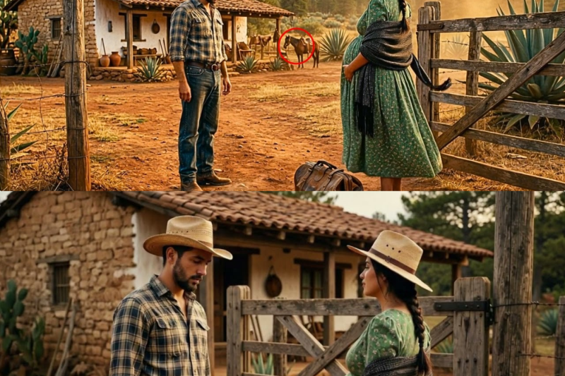 Embarazada y sin nadie, fue al rancho del único hombre que la amó, pero lo que él guardaba…