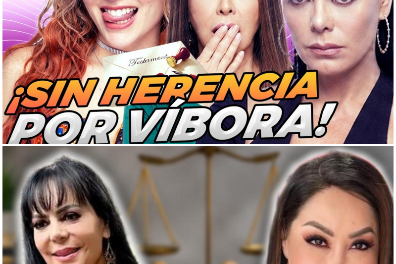 ¡Sin un centavo! Maribel Guardia da un golpe maestro, cambia su testamento y protege la herencia de su nieto