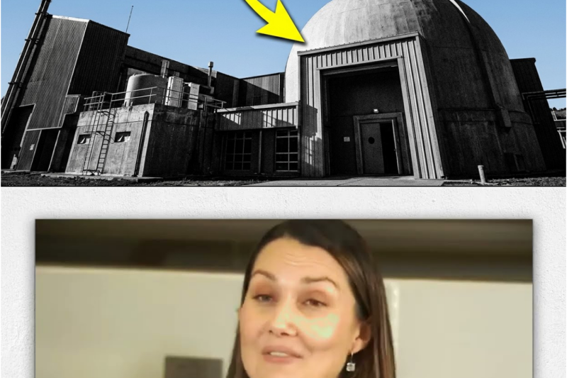 ARGENTINA VENDIÓ UN REACTOR NUCLEAR A AUSTRALIA — EL LOGRO INDUSTRIAL QUE NINGÚN GOBIERNO TE CONTÓ
