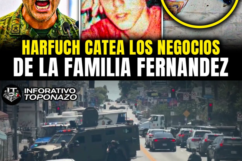 HARFUCH CATEA los NEGOCIOS de la FAMILIA de DIEGO FERNANDEZ y REVELA ARCHIVOS y LUJOS DESCONOCIDOS