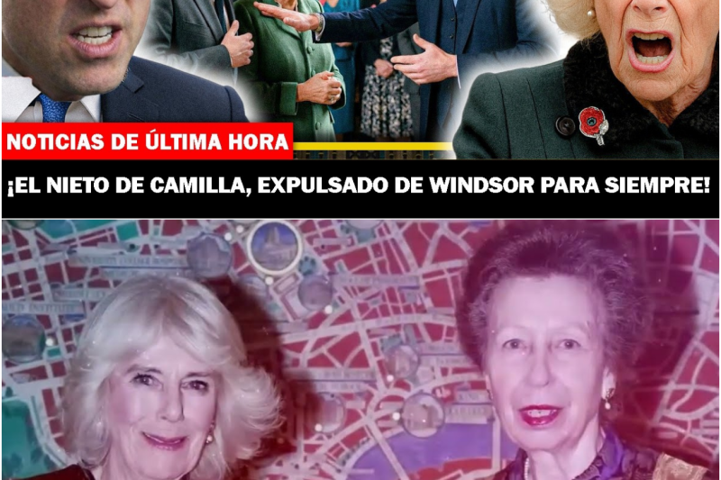 La gran clarificación de Windsor El príncipe Guillermo dicta la exclusión definitiva de la familia de la reina Camila con el respaldo de la princesa Ana
