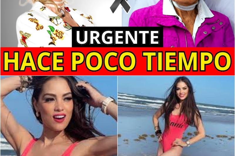 El Regreso de una Leyenda: La Batalla Silenciosa de Chelo Rodríguez Contra el Cáncer y su Lección de Dignidad