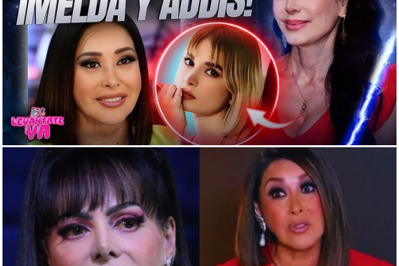 ¡Sin un centavo! Maribel Guardia da un golpe maestro, cambia su testamento y protege la herencia de su nieto