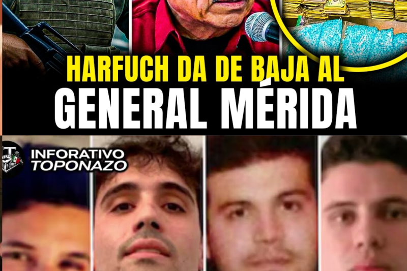 ¡HARFUCH ENJAULÓ al “GENERAL MÉRIDA” RECIBÍA $100 MIL DÓLARES MENSUALES DE LOS CHAPITOS 
