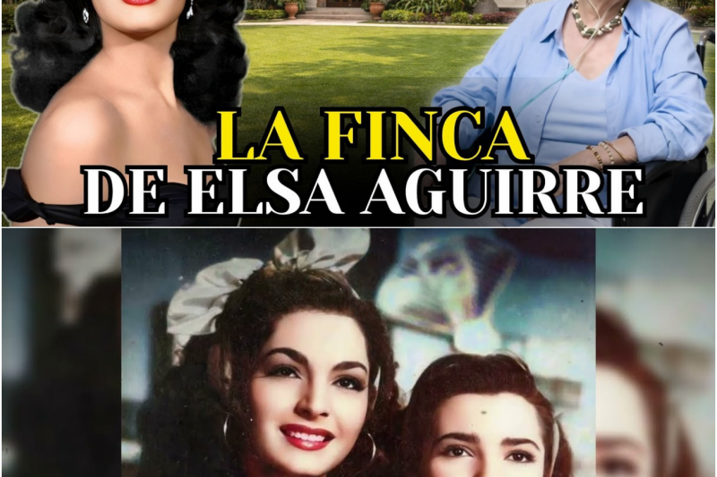 El Lujo del Silencio: La Trágica, Fascinante y Desconocida Vida de Elsa Aguirre a sus 95 Años