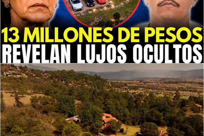 SHEINBAUM SUBASTA EL TERRENO CON LUJOS MILLONARIOS DECOMISADOS DONDE CAYÓ “EL MENCHO”