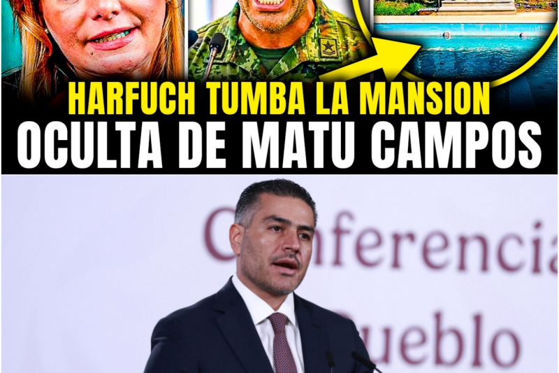 HARFUCH TUMBA la MANSION DORADA de MARU CAMPOS y ENCUENTRA BOVEDA OCULTA con LUJOS