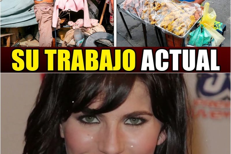 25 FAMOSOS COLOMBIANOS QUE DEJARON LA TELEVISION POR UN EMPLEO NORMAL