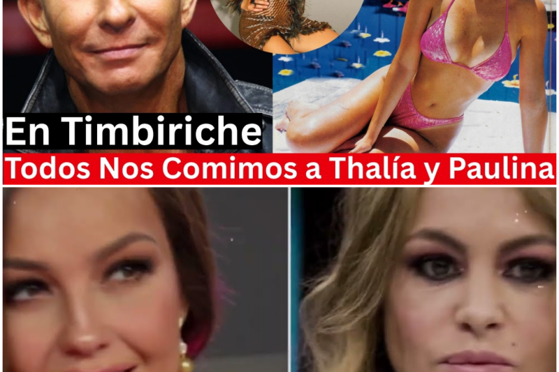 El Lado Oscuro de la Nostalgia: Todos los Amores, Excesos y Secretos Inconfesables que Destruyeron a Timbiriche desde Adentro
