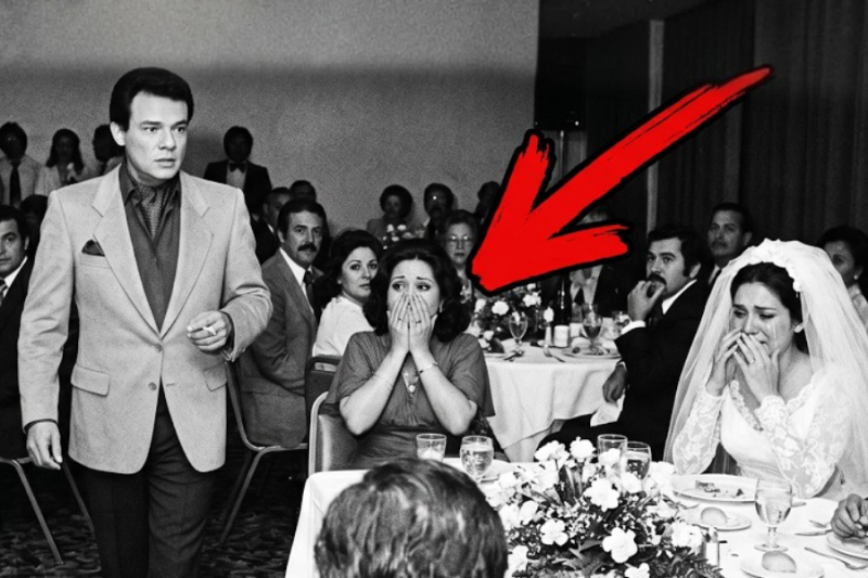 JOSE JOSE Llegó a una Boda Donde Nadie lo Esperaba — y Nadie Estaba Preparado para Esto