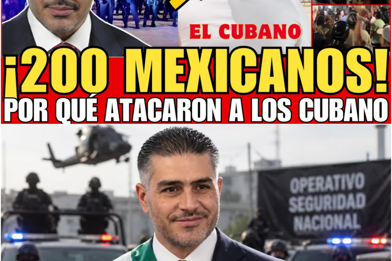 ¡De una mordida de perro al borde de una masacre! Cancún estalla en violencia tras la difusión de un perturbador video viral de dos minutos