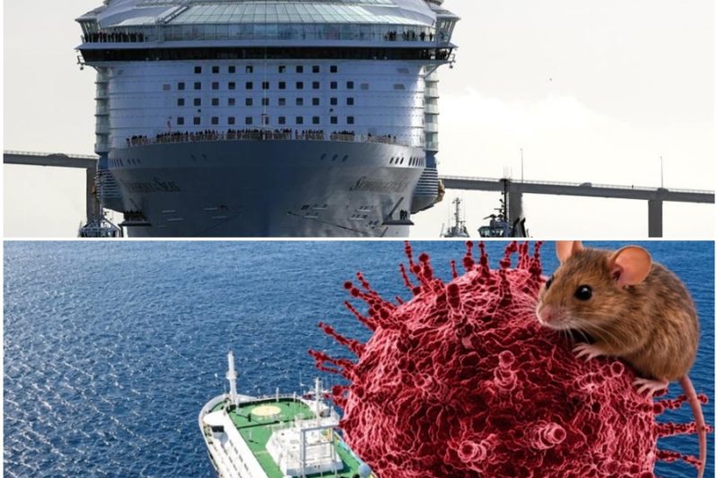 Más de 100 personas enferman de norovirus en un crucero que zarpó de Florida