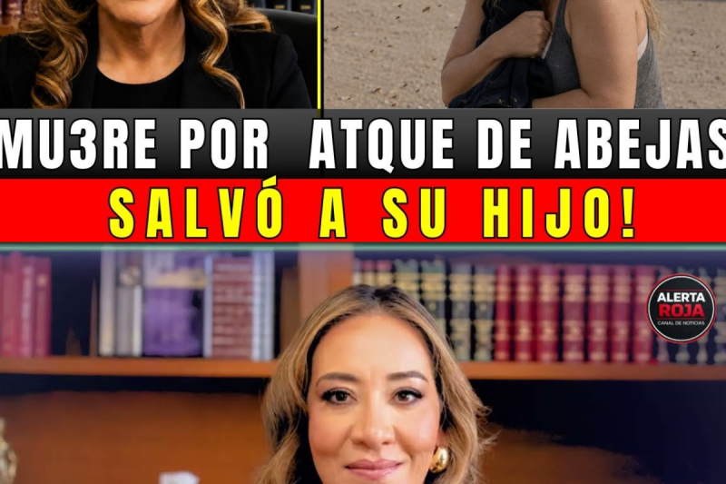 ¡MAGISTRADA MURE SALVANDO A SU HIJO! OYUKI MUERE POR ATAQUE DE ABEJAS, SU AMOR ESTREMECE A ZACATECAS