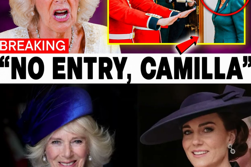 La Guardia Real impide a Camilla el acceso al estudio privado de Catalina tras descubrir esto.