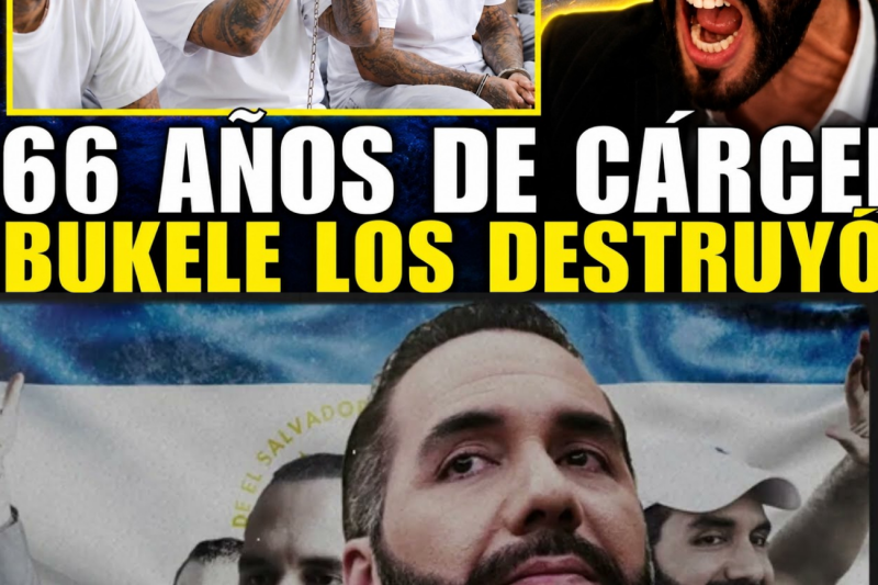 DE COBRAR PISO EN CUSCATLÁN A LAS CELDAS DEL CECOT, ASÍ CAYERON LOS 37 MÁS PELIGROSOS DE LA MS-13