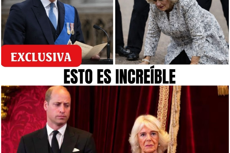 Tensión en el Palacio: La guerra silenciosa entre el Príncipe William y Camilla que amenaza con quebrar la monarquía británica