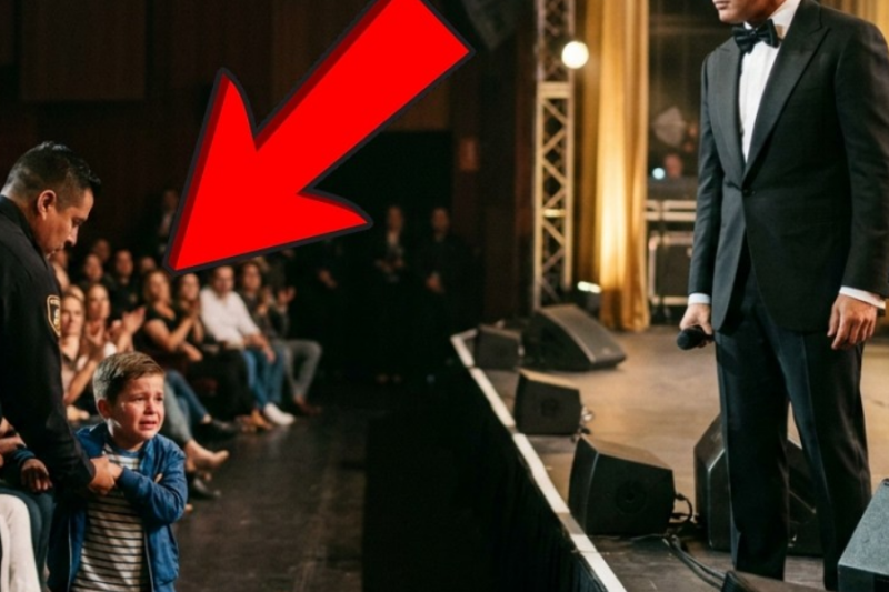Cuando Seguridad Sacó a un Niño del Teatro, Luis Miguel Bajó del Escenario y Detuvo Todo
