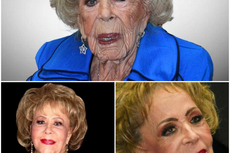El Precio de la Fama y la Maldición de Viridiana: Las Tragedias Ocultas en la Vida de Silvia Pinal