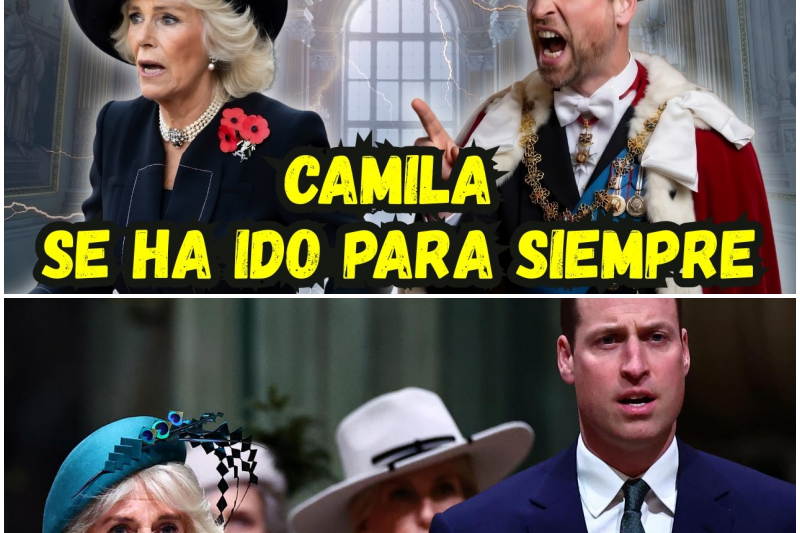 Tensión en el Palacio: La guerra silenciosa entre el Príncipe William y Camilla que amenaza con quebrar la monarquía británica