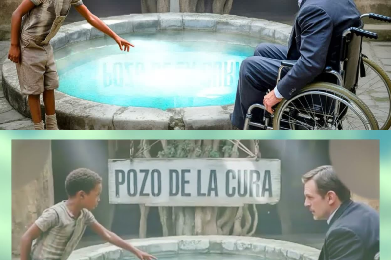 ＂Entra y Camina De Nuevo＂–El Millonario Dudó, Hasta Que Sintió Algo Jalar De Sus Piernas En El