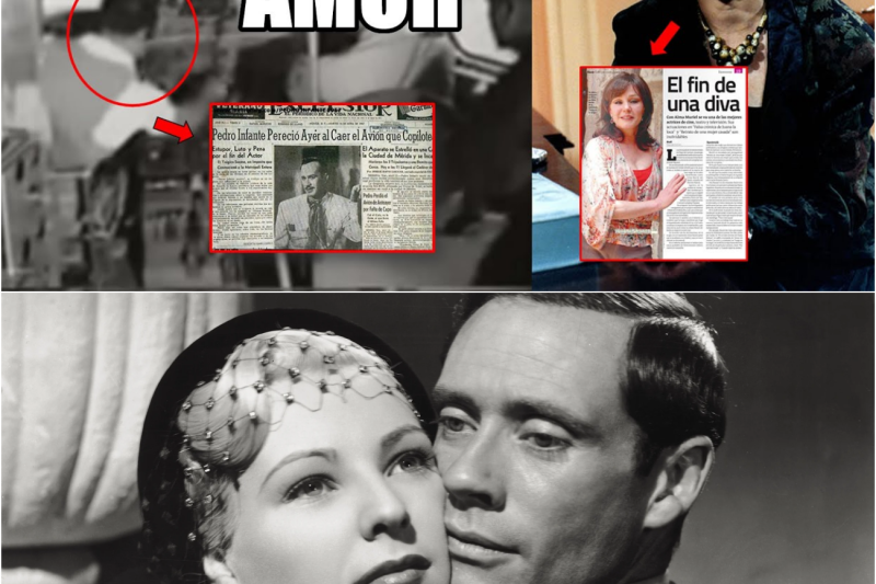 El Precio de la Pasión: 10 Íconos del Entretenimiento que Encontraron un Final Trágico a Nombre del Amor