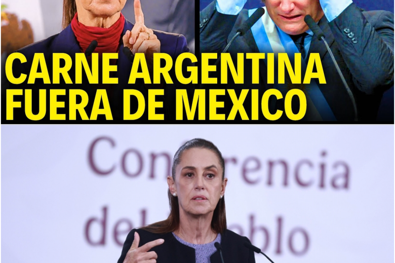 Fronteras cerradas: El bloqueo comercial de México asesta un golpe de 1.200 millones de dólares a la economía de Milei
