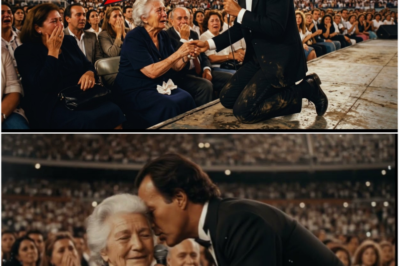 Julio Iglesias DETUVO La Canción Cuando Vio a Una Anciana Llorando — Fila 14 — 40.000 En Silencio